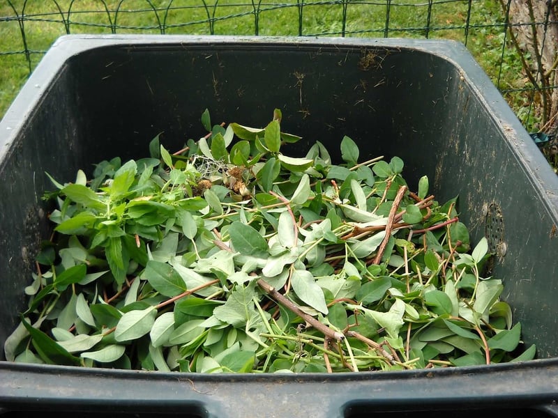 Balcony Composting