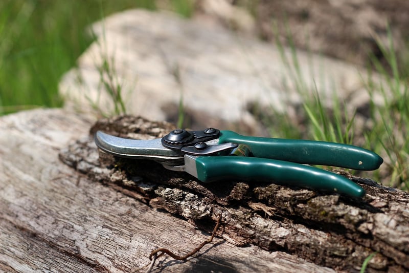 Seasonal Pruning